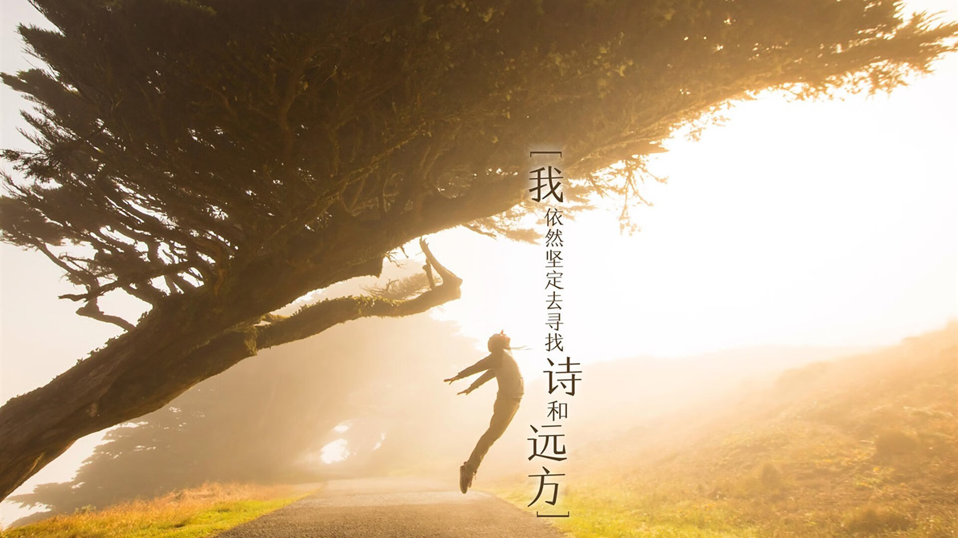 随机LCK战队社交媒体粉丝互动增强，lck网友