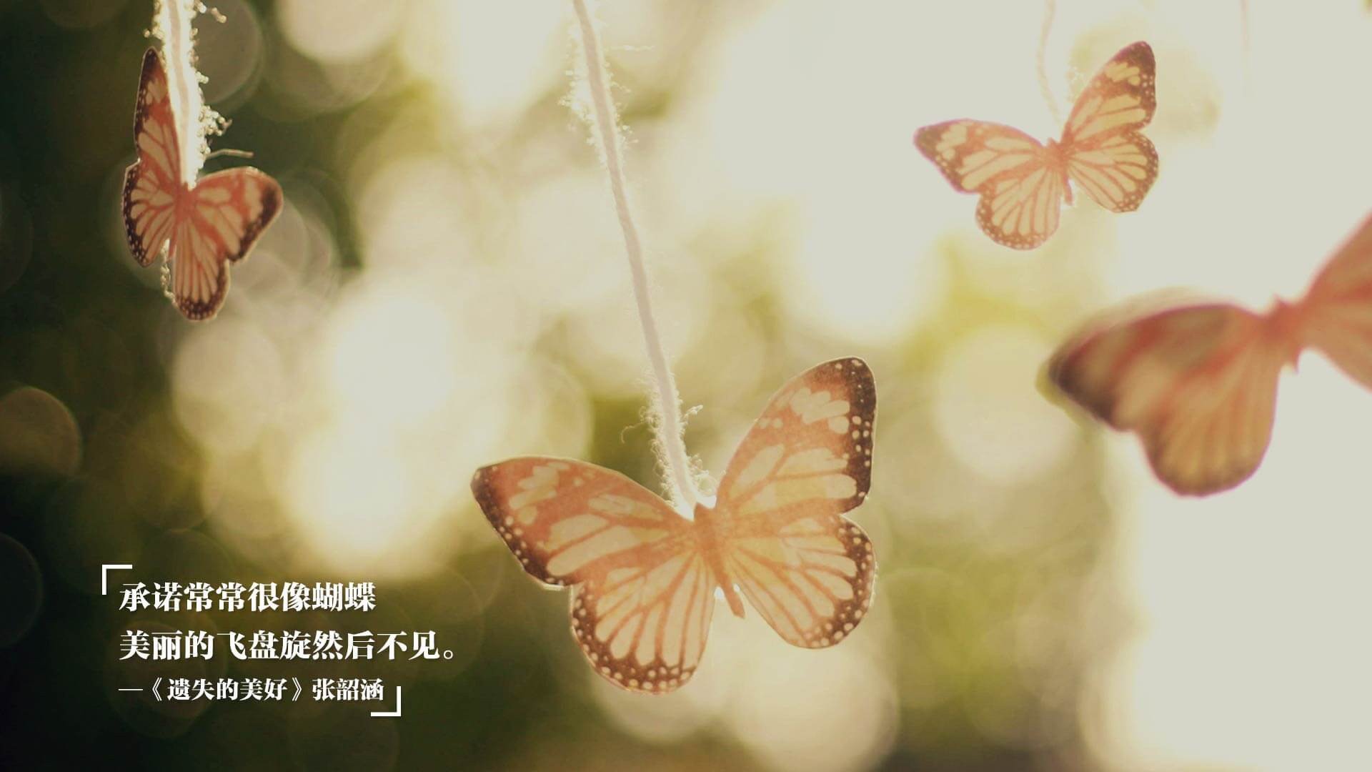 随机尼日利亚联赛关键比赛焦点,尼日利亚联赛关键比赛焦点分析