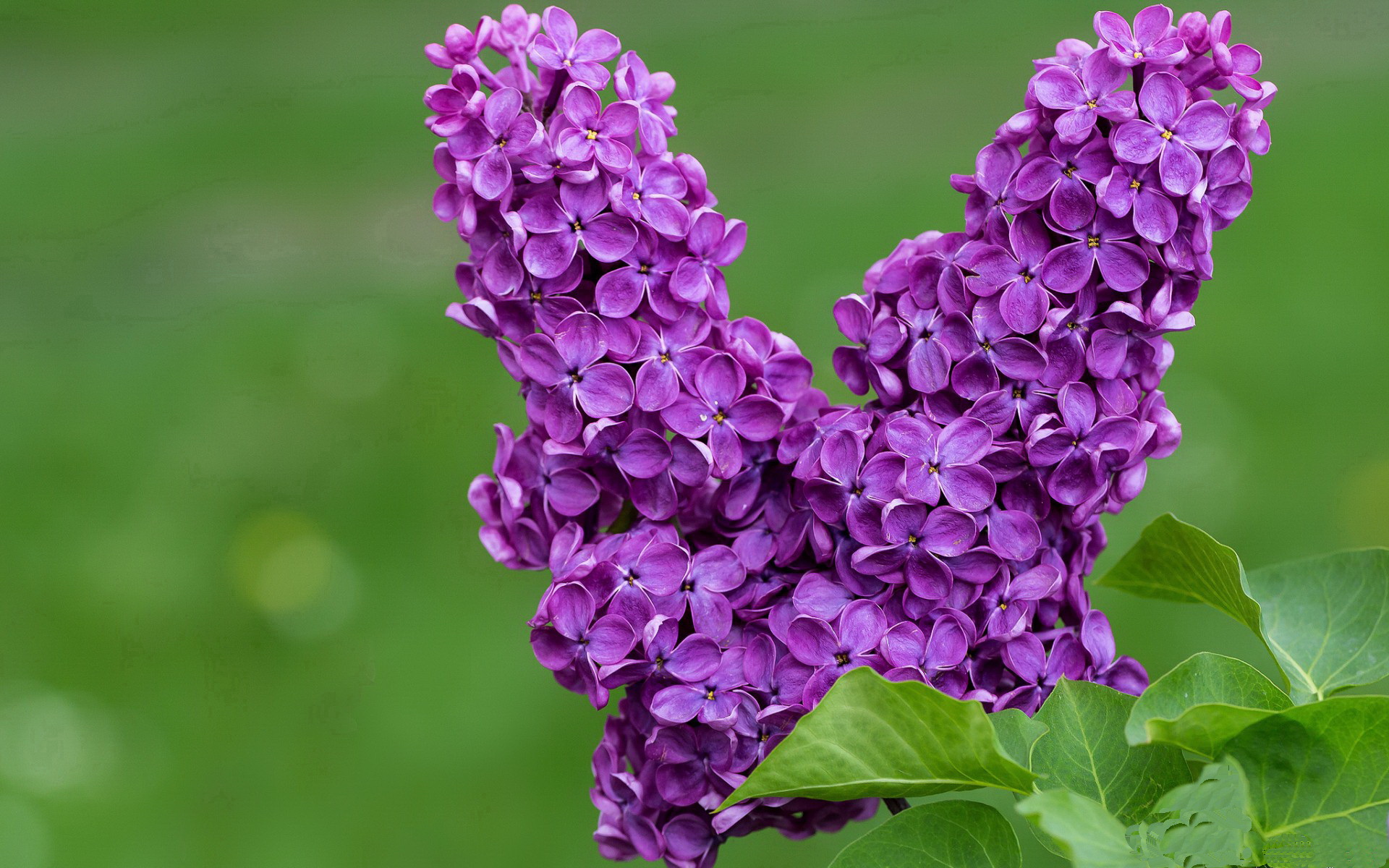 Kaiyun官方登录入口-赛季前热身赛状态观察报告,赛前热身运动