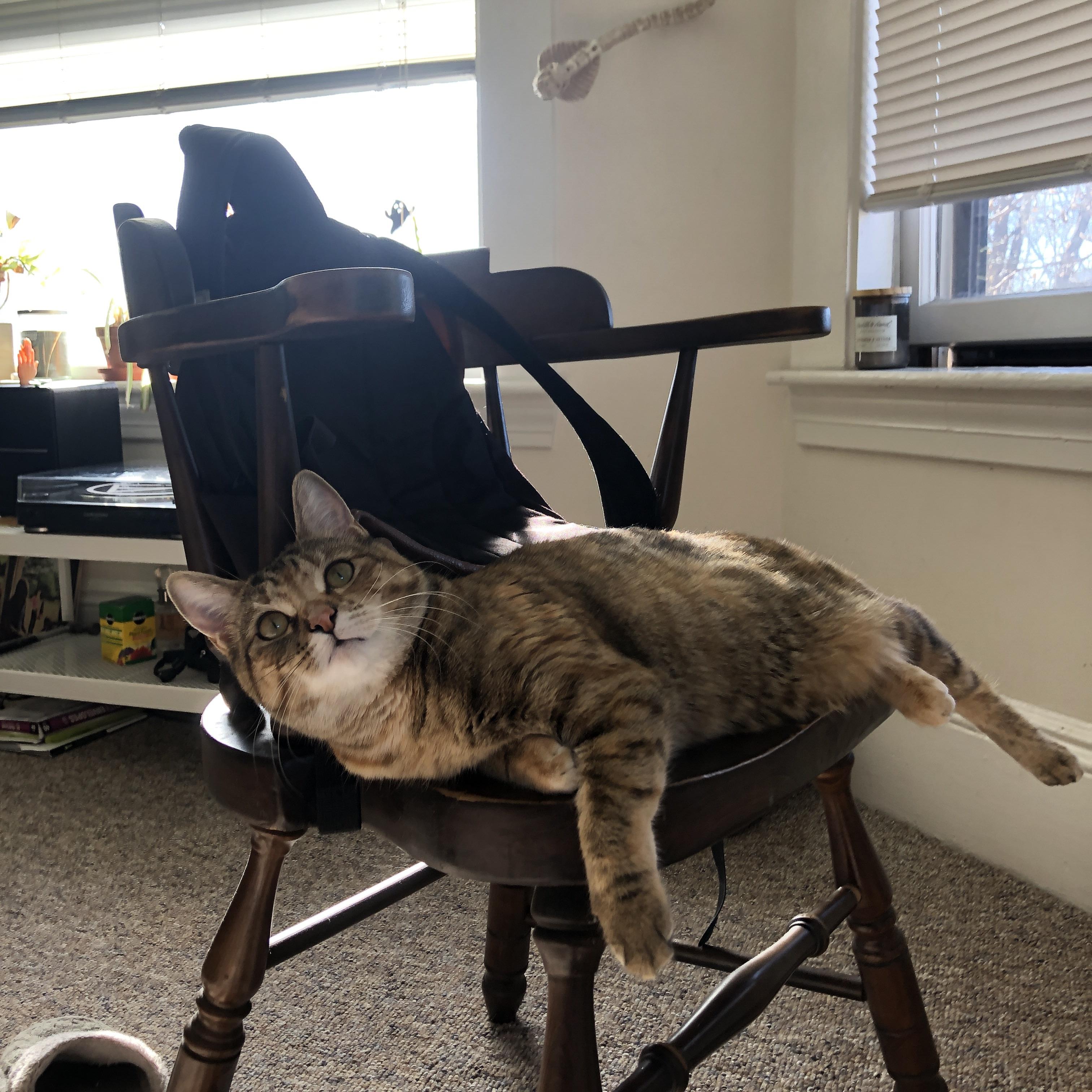 开云·体育官方网站入口-高节奏打法下的外线轮转是否更具观赏性