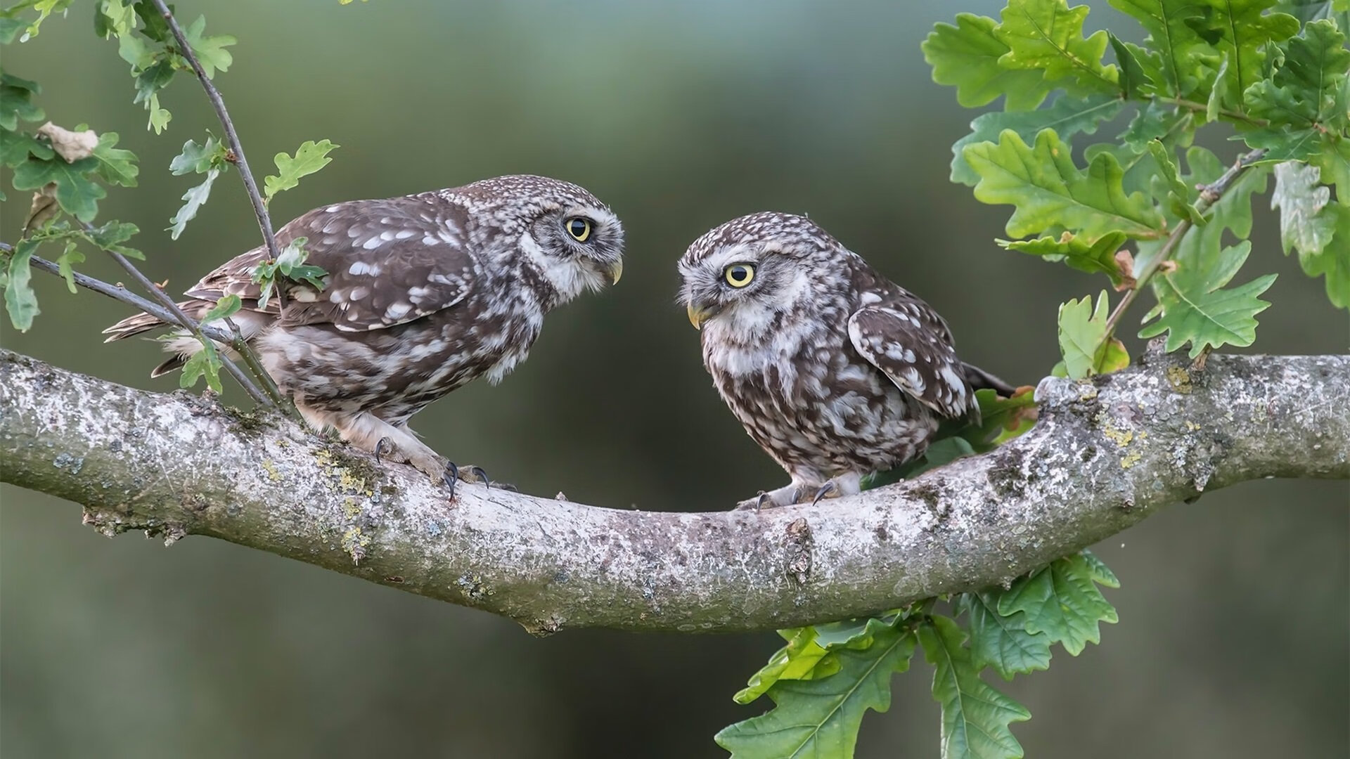 kaiyun.com-世界杯逆天绝杀:英雄救场,创造奇迹!,世界杯十大经典绝杀