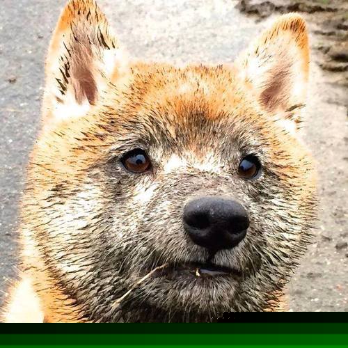 kaiyun开云·官方网站-中国足球职业俱乐部加快青训人才签约机制,2020足球青训梯队招募