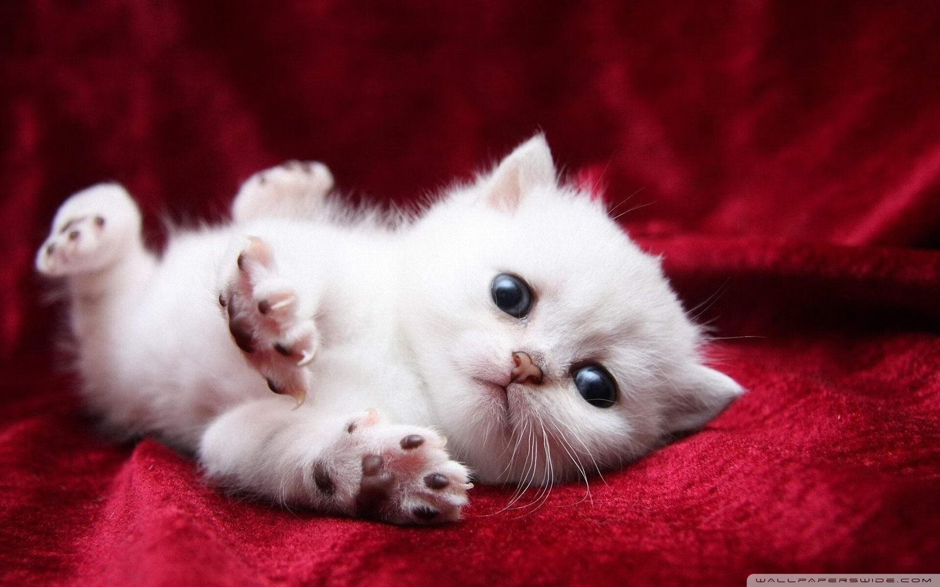 kaiyun官方入口登录-体育场馆新风系统实现绿色节能，体育馆的通风工作原理