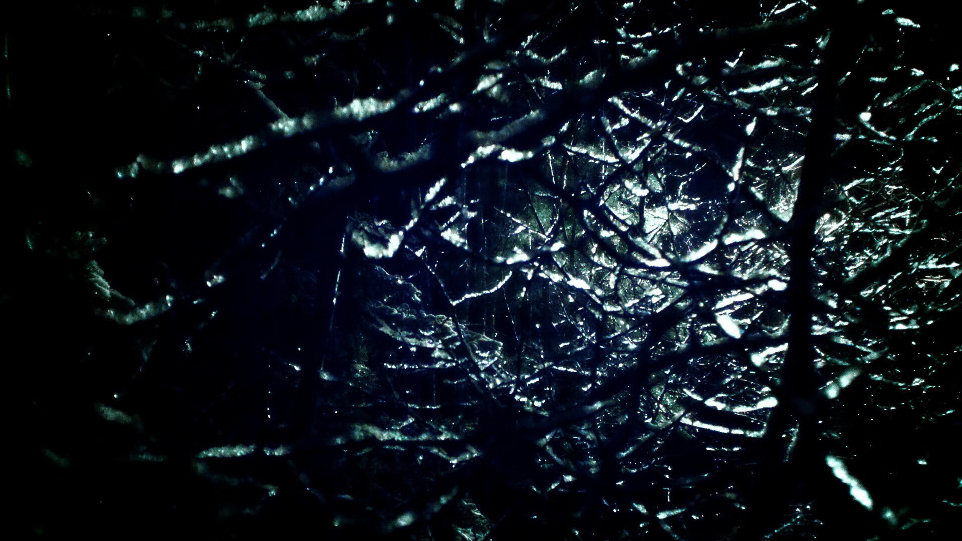 Kaiyun官方登录入口-女子国家队组织全阵型轮换演练提升人员适应力,国家队女性