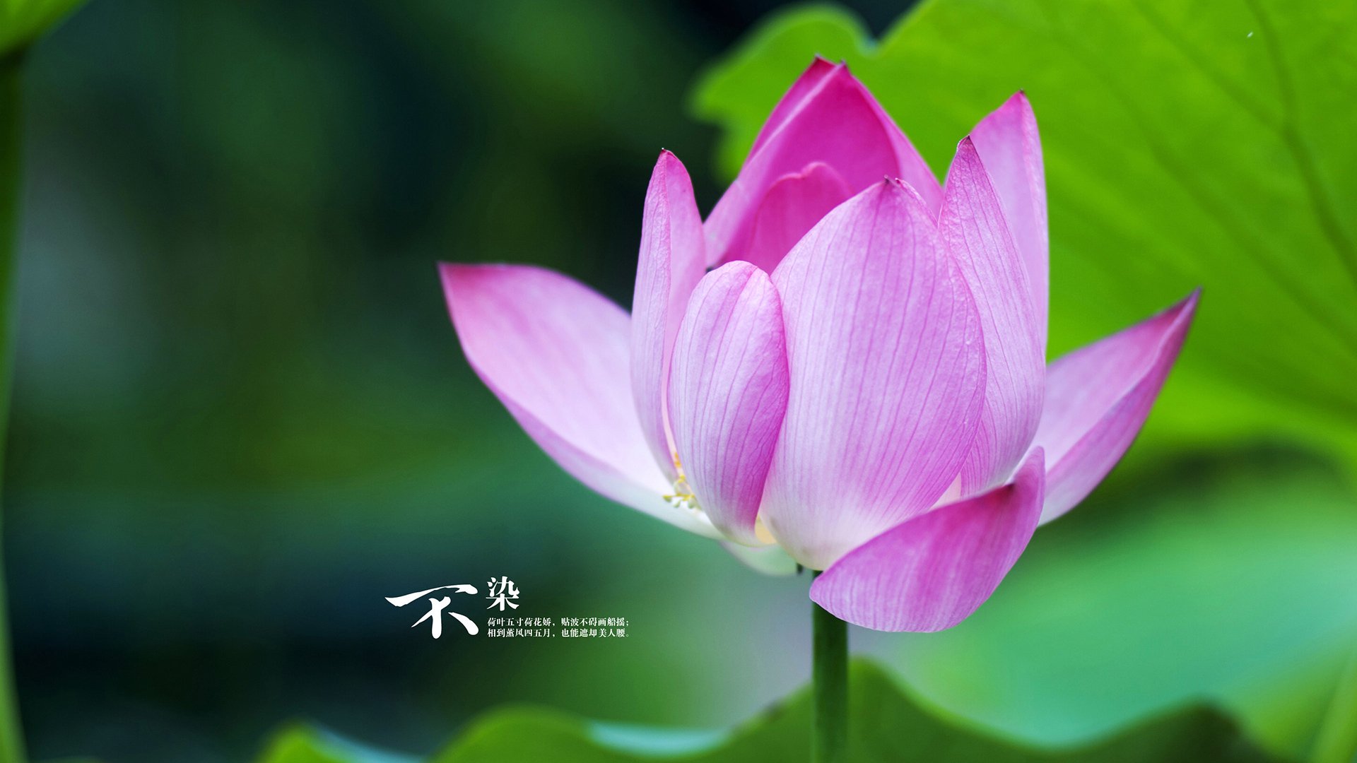 开云-法甲球队的跨界合作案例，法甲球队的跨界合作案例分析