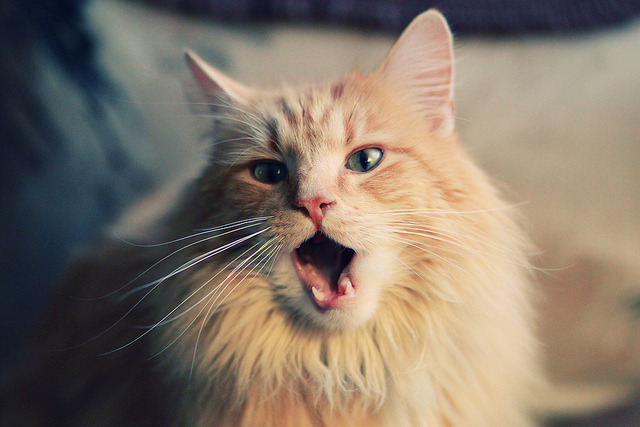 kaiyun-西甲决战瞬间：突破、助攻、得分精彩不停！，西甲争冠分析